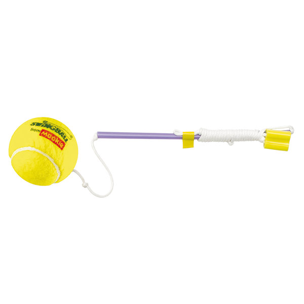 Mookie Swing Ball and Tether & Reviews Wayfair